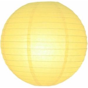 5 x Lampion licht geel 25 cm