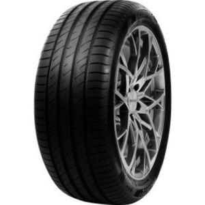 Delinte DS2 205/55 R16 91H zomerbanden