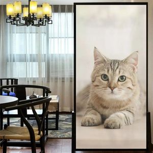 Raamfolie poes - kat - 60 x 120 cm