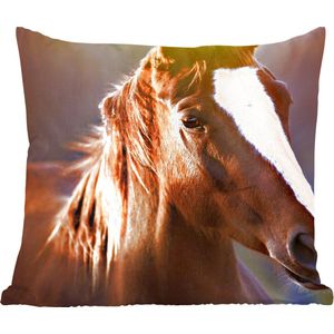 Sierkussen - Paard Licht Vacht - Bruin - 50 Cm X 50 Cm