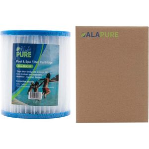Filters voor Intex Type H