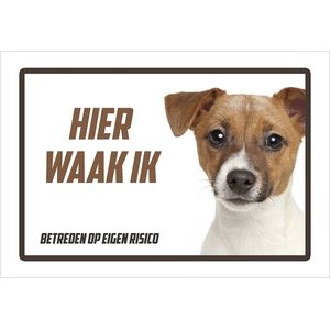 Waakbord/ bord | ""Hier waak ik"" | Jack Russel | 30 x 20 cm | Dikte: 1 mm | Waakhond | Jack Russel Terriër | Hond | Chien | Dog | Betreden op eigen risico | Schoothond | Polystyreen | Rechthoek | Witte achtergrond | 1 stuk