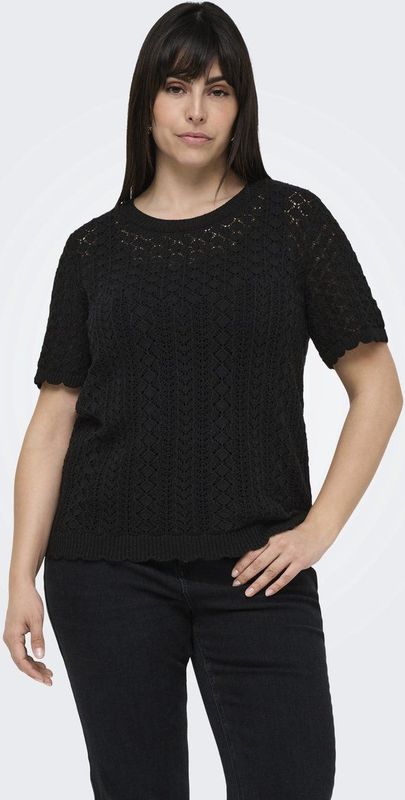 ONLY CARMAKOMA - CARSAGA LIFE SS O-NECK KNT NOOS - Dames - Gebreide truien