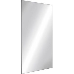 Onbreekbare spiegel 10 x 595 x 980 RVS spiegelgepolijst