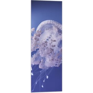 WallClassics - Vlag - Kwallen in Paars Water - 30x90 cm Foto op Polyester Vlag
