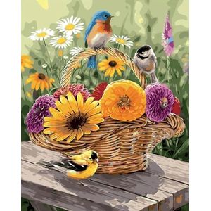 2.0 Products - Dieren - Schilderen op nummer volwassenen - Paint by number - 40 x 50 CM - Vogel - Bloemen - Tuin