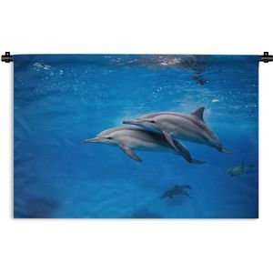 Wandkleed Dolfijn - Spinner Dolfijnen in de Rode zee Egypte Wandkleed katoen 180x120 cm - Wandtapijt met foto XXL / Groot formaat!