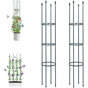 Tuinklimhulp van metalen kern 160 cm - 2 stuks met 30 plantenclips - voor tomaten, rozen - obelisk plantensteun