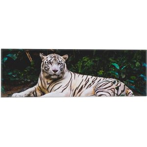 WallClassics - Vlag - Witte Tijger in de Jungle - 60x20 cm Foto op Polyester Vlag