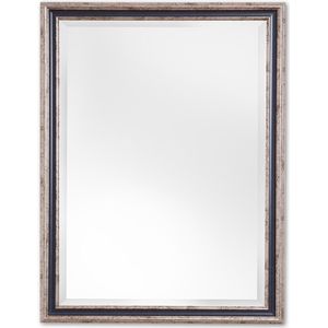 Klassieke Spiegel 70x130 cm Zilver - Abby