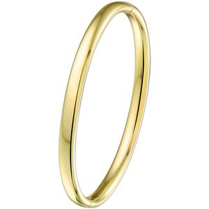 Bangle Scharnier Massief Ovale Buis 5mm
