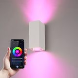 Hoftronic Smart Selma - Smart Wandlamp WiFi + Bluetooth - Wit - RGBWW 16,5 miljoen kleuren - IP65 Waterdicht - Up and Down Light - Geschikt als Binnen en Buiten Wandlamp - Buitenlamp - Bedienbaar via stem - Smart Home - 3 jaar garantie