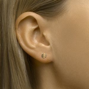 oorknoppen rond gediamanteerd 14K geelgoud 4023339