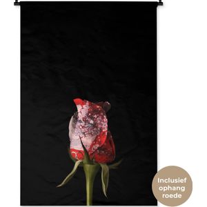 Wandkleed BloemenKerst illustraties - Rode bloem tegen zwarte achtergrond Wandkleed katoen 90x135 cm - Wandtapijt met foto