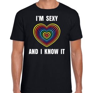 Regenboog hart Sexy and I Know It gay pride / parade zwart t-shirt voor heren - LHBT evenement shirts kleding XL