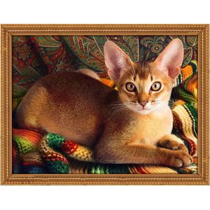 Diamond Painting Abyssinian Cat 40x30
