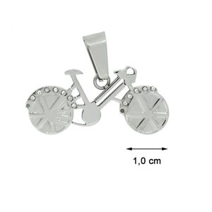 Blinx Jewels Stalen Hanger Fiets Steentjes Zirkonia