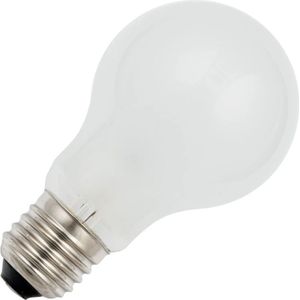 Schiefer E27 Gloeilamp | 60W 2700K 810lm 12V Mat | Dimbaar