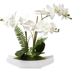 Kunstorchideeën, kunstmatige orchideeën in pot, kunstmatige orchideeën als echt, kunstmatige Phalaenopsis Bonsai in keramische pot, voor woonkamer, badkamer, decoratie, wit