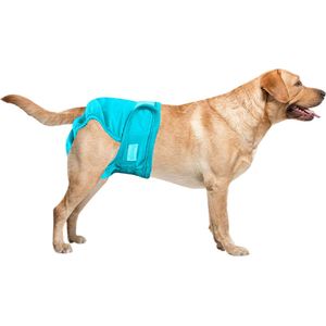 Sharon B - Honden Loopsheidbroekje - Maat M - Voor Middelgrote Honden - Blauw - Taille 28-33 cm - Bij incontinentie of loopsheid