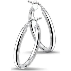 TFT Oorring Ronde Buis Zilver Gerhodineerd Glanzend 2.5 mm x 30 mm
