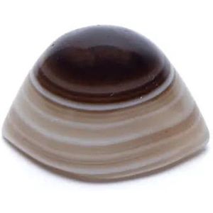 Shiva oog natuurlijke agaat beschermsteen