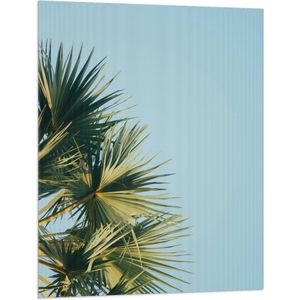 WallClassics - Vlag - Palmbomen met Blauwe Lucht - 75x100 cm Foto op Polyester Vlag