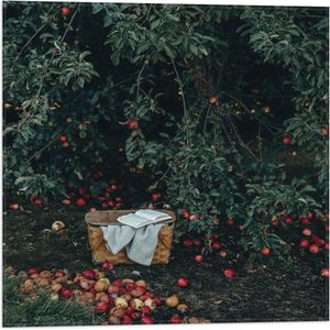 WallClassics - Vlag - Mandje voor Appels Plukken - 50x50 cm Foto op Polyester Vlag