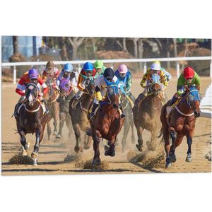 WallClassics - Vlag - Paarden Race - 60x40 cm Foto op Polyester Vlag