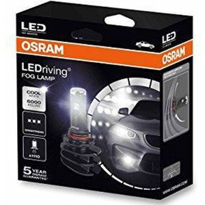 Osram LED-Mistlicht H10-9645CW