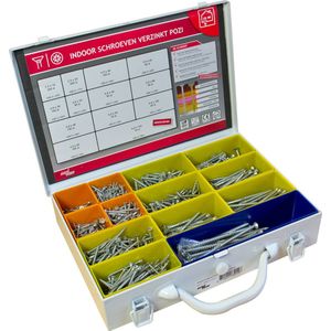 Dynaplus stalen assortimentskoffer met Torxschroeven verzinkt