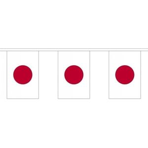 Buiten vlaggenlijn Japan - 300 cm - Japanse slingers versiering