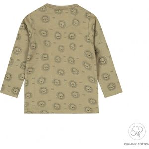 Dirkje jongens longsleeve organic cotton Faded green - NOOS BOYS 2024