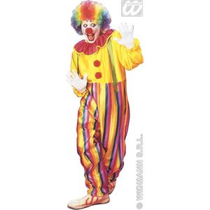 Clown & Nar Kostuum | Funny Clown Circus Kostuum Man | Small | Carnaval kostuum | Verkleedkleding