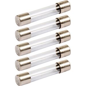 VLTG Glaszekering 6.3x32mm - 2.5A - F(snel) - Beschermt tegen overbelasting - 5 stuks