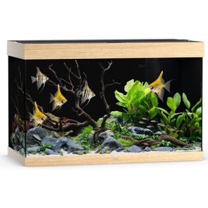 Juwel Rio 290 Led - Aquarium - 101x51x66 cm Licht Hout