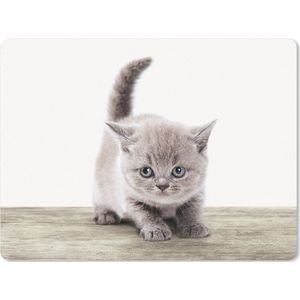 Muismat XXL - Bureau onderlegger - Bureau mat - Kitten - Kat - Huisdieren - Jongens - Kinderen - Meisjes - 80x60 cm - XXL muismat