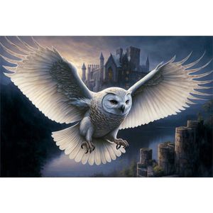 Wand Bord Speciaal Reliëf - Witte Uil Bij Kasteel Hedwig