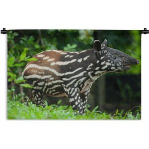 Wandkleed Junglebewoners - Jonge tapir in de jungle Wandkleed katoen 60x40 cm - Wandtapijt met foto