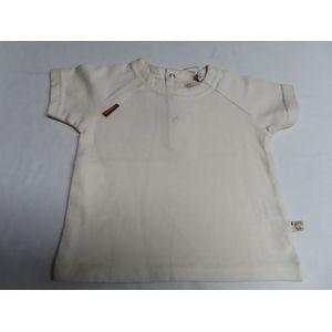 Noukie's - T shirt - Korte mouwen - Unie - Ecru - 6 maand 68