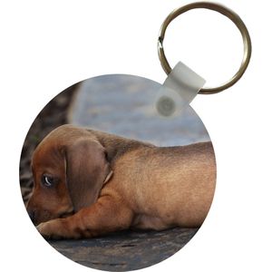 Sleutelhanger - Teckel puppy ligt op de rand van de stoep - Plastic - Rond - Uitdeelcadeautjes
