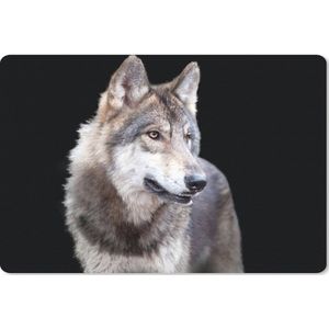 Bureau mat - Grijze wilde wolf - 60x40