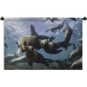 Wandkleed Zeedieren - Onderwaterfoto van een groep zeeleeuwen Wandkleed katoen 120x80 cm - Wandtapijt met foto