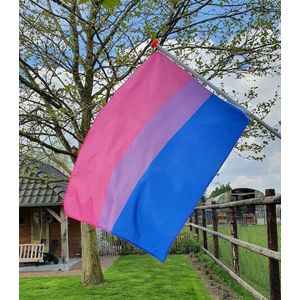 Biseksuele vlag - 90x150cm - Bisexual flag - Bi vlag - Pride vlag - Bi flag - Biseksueel