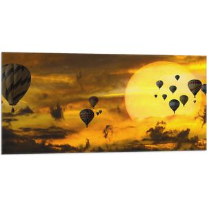 WallClassics - Vlag - Zee van Luchtballonnen bij Zon en Wolken - 100x50 cm Foto op Polyester Vlag