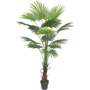 Kunst palmboom | Rhodos | 175cm - Neppalm kunstplant - Waaierblad Palm - Groen