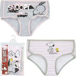 2 Pack Meisjes slips - Snoopy - Grijs-Roze - 10/12 jaar