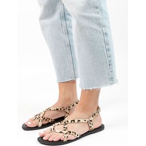 Sacha - Dames - Leren sandalen met luipaardprint - Maat 42