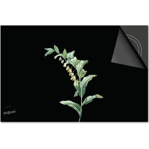 Inductie beschermer 77x51 - afdekplaat inductie mat - Dietrix Kookplaat beschermer - Base - Botanical - Plantje kelkjes op zwart