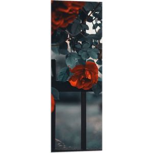 WallClassics - Vlag - Rode Bloemen in Groene Struik bij Hek - 30x90 cm Foto op Polyester Vlag